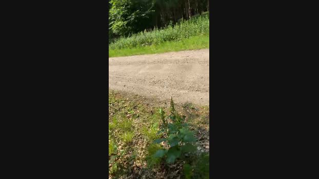 geilerjung69  25-06-2023 Recorded Video hardcock