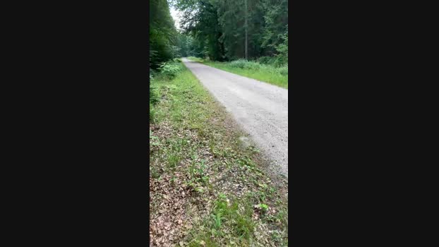 geilerjung69  25-06-2023 Recorded Video deepthroat