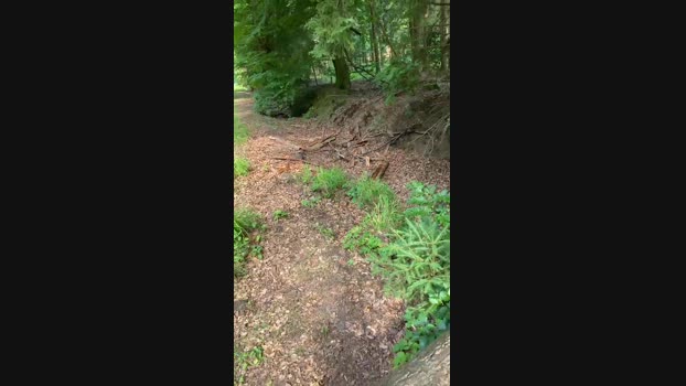 geilerjung69  25-06-2023 Recorded Video big