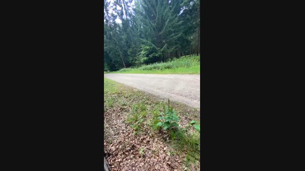 geilerjung69  25-06-2023 Recorded Video play