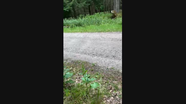 geilerjung69  25-06-2023 Recorded Video play