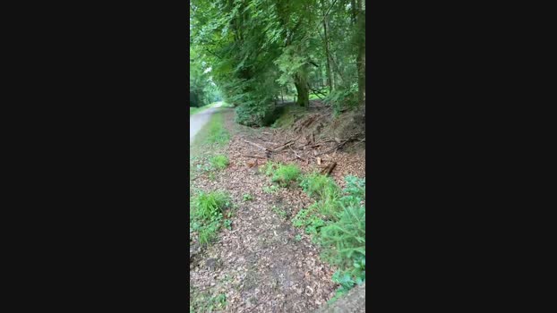 geilerjung69  25-06-2023 Recorded Video big