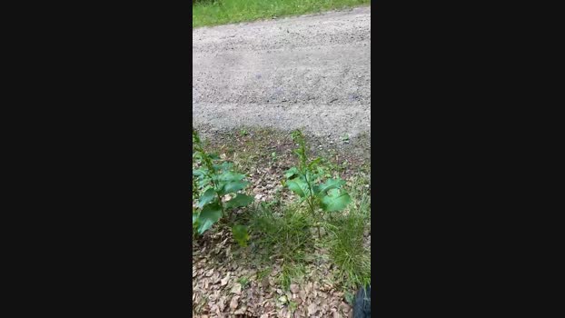 geilerjung69  25-06-2023 Recorded Video big
