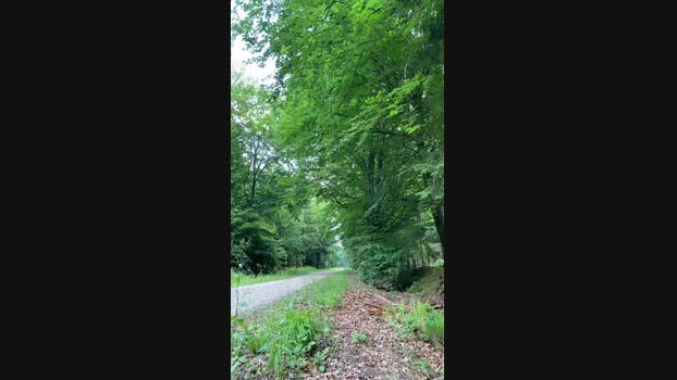 geilerjung69  25-06-2023 Recorded Video hard