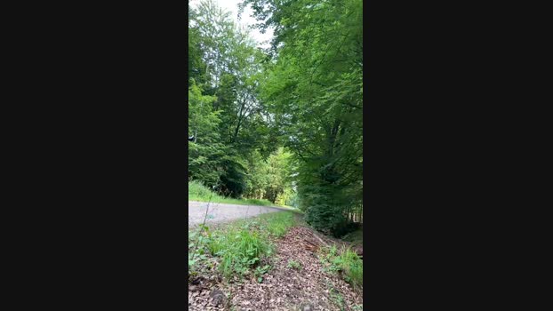 geilerjung69  25-06-2023 Recorded Video lovense
