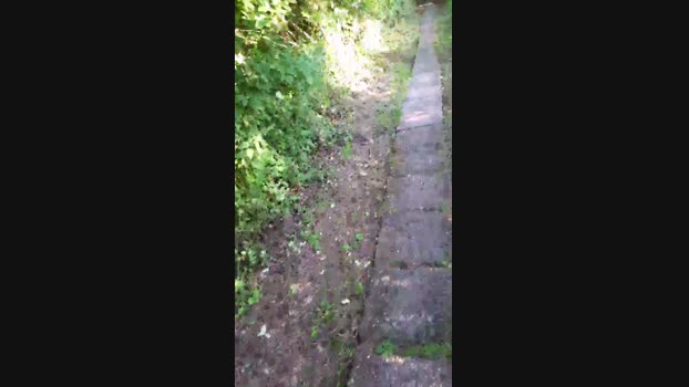 monsterlover  24-06-2023 Recorded Video bigass