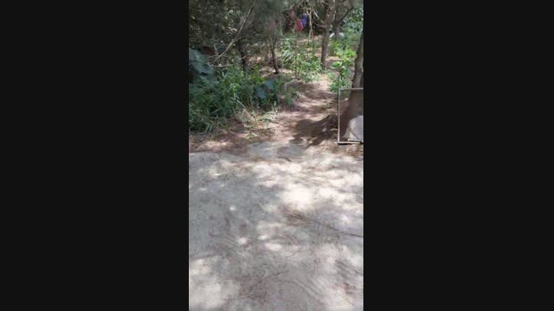 tarcton78  24-06-2023 Recorded Video hard