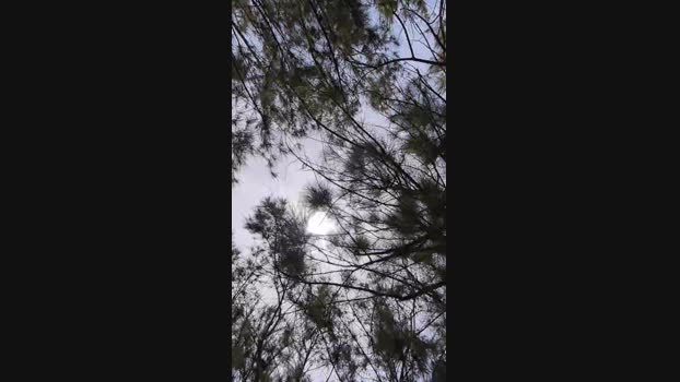 tarcton78  24-06-2023 Recorded Video jerkoff