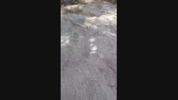 tarcton78  24-06-2023 Recorded Video gag