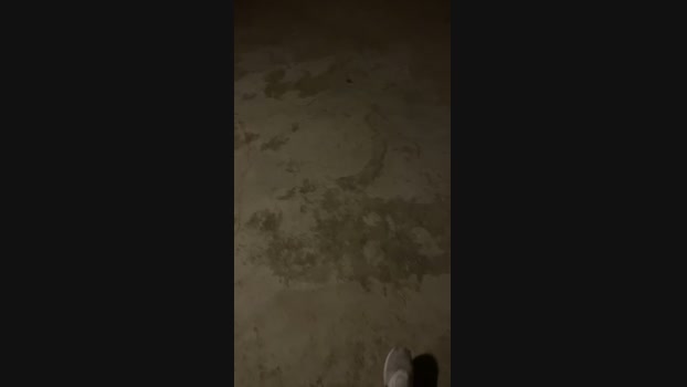 Foxfox07  26-06-2023 Recorded Video skinny