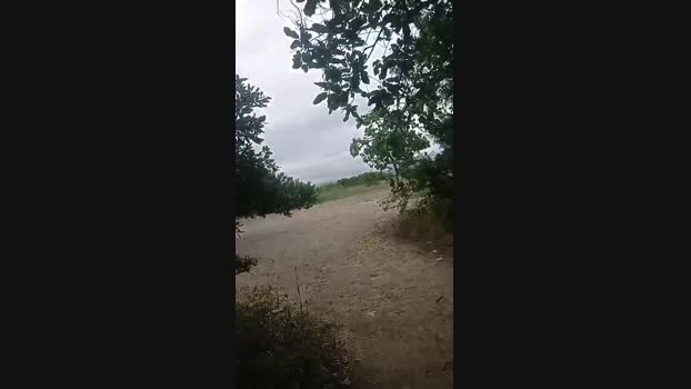 Gastea1  26-06-2023 Recorded Video amateur