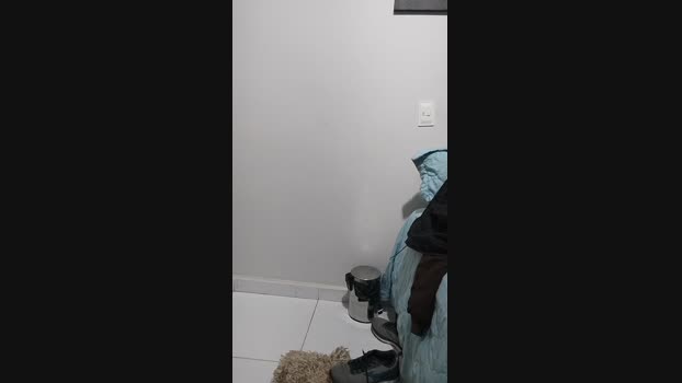 Petreli  25-06-2023 Recorded Video big