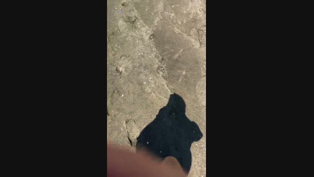 danicloud1  26-06-2023 Recorded Video Topless