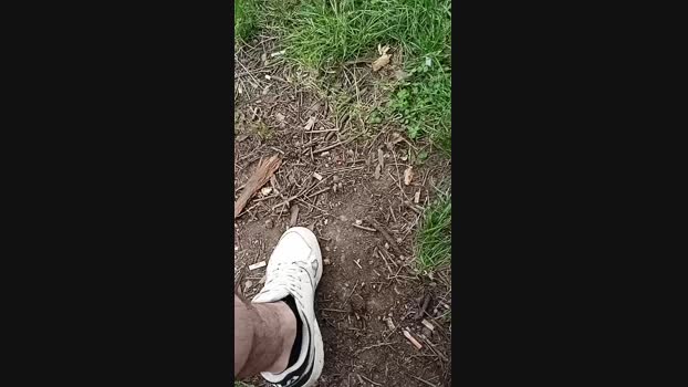 gutig_14  26-06-2023 Recorded Video jackoff