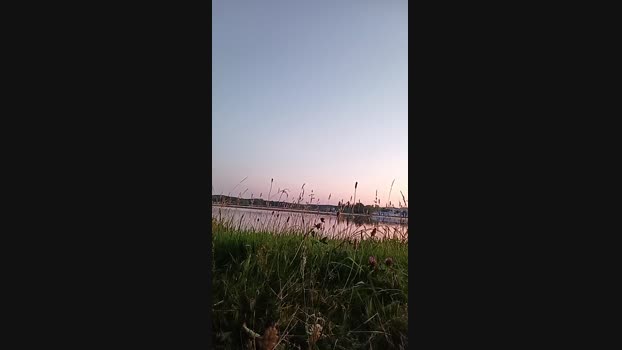 hmefroumyahooc5  25-06-2023 Recorded Video jerking