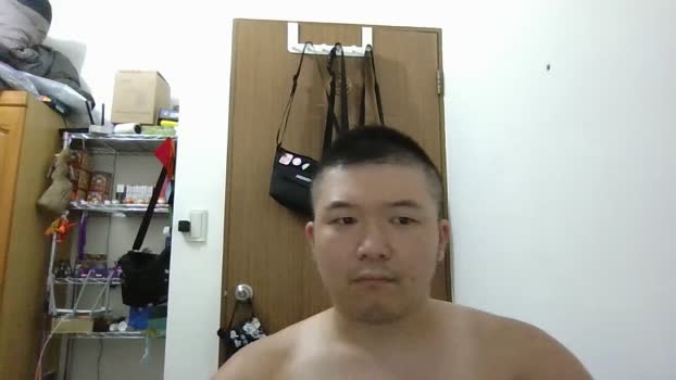 bear080