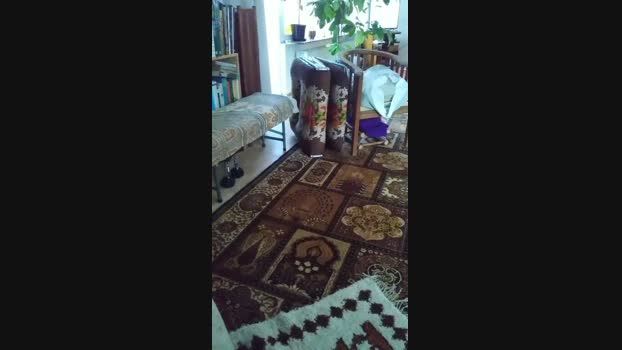 weed_whacker  26-06-2023 Recorded Video bigtoys
