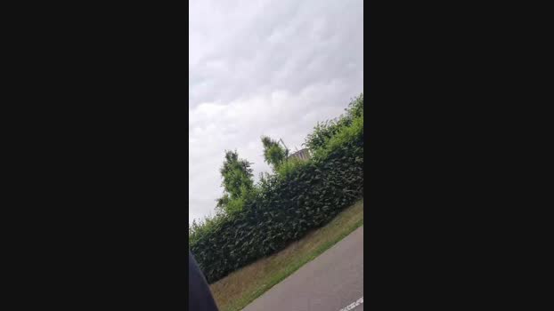 Doperman  28-06-2023 Recorded Video spank