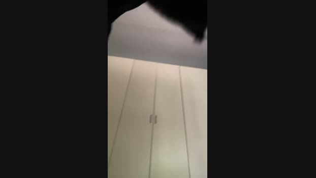 Jacopino23cm  27-06-2023 Recorded Video love