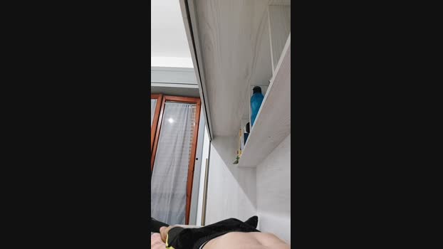Lurio  28-06-2023 Recorded Video XXX