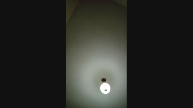 Phballdes