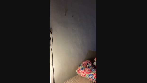 jiayouchen76719