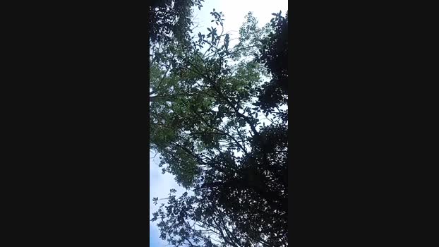 Gastea1  02-07-2023 Recorded Video fuck