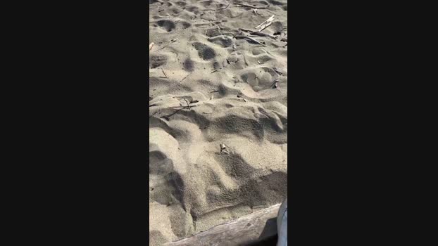 danicloud1  01-07-2023 Recorded Video kink