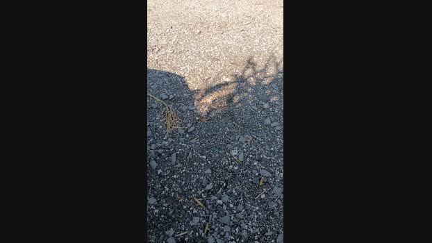 marcoroma57  02-07-2023 Recorded Video jackoff