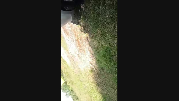 marcoroma57  02-07-2023 Recorded Video big