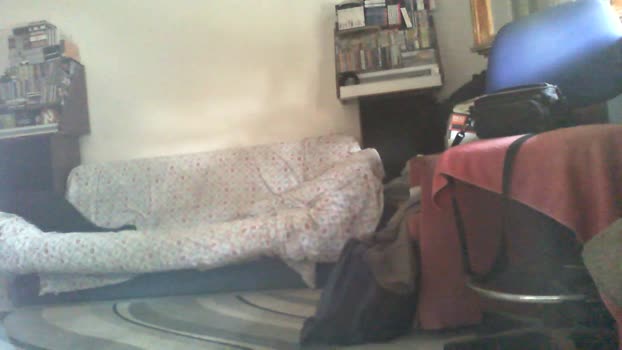 stefano178  02-07-2023 Recorded Video bicurious