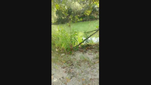 apem22  03-07-2023 Recorded Video ass