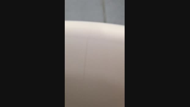 Lang93  04-07-2023 Recorded Video legs