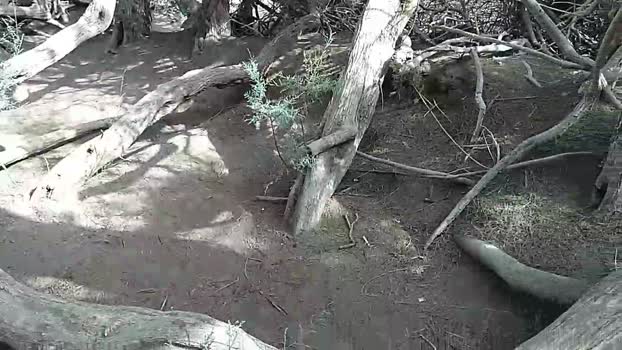 Pabloysebas  03-07-2023 Recorded Video amateur