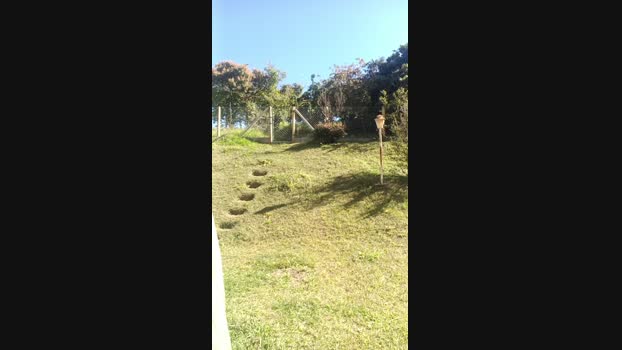 Safadinho6699
