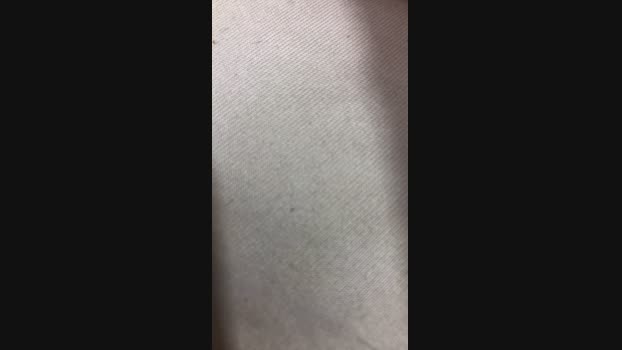 ericperez5  04-07-2023 Recorded Video toy