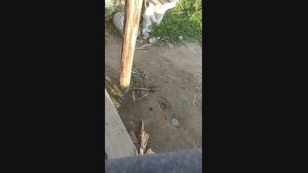 0Bomba0  04-07-2023 Recorded Video sexybody