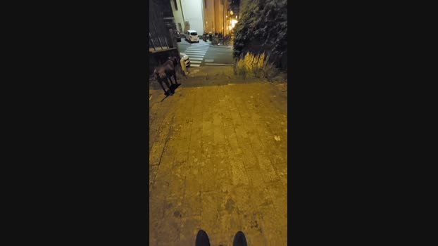 Lurio  04-07-2023 Recorded Video bigtoys