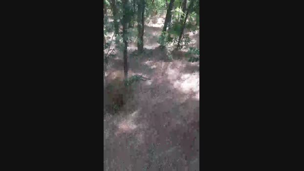 faraon47  05-07-2023 Recorded Video big