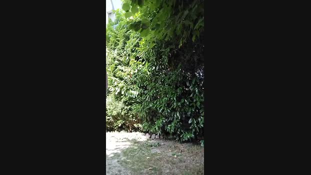 kuggg  06-07-2023 Recorded Video naked