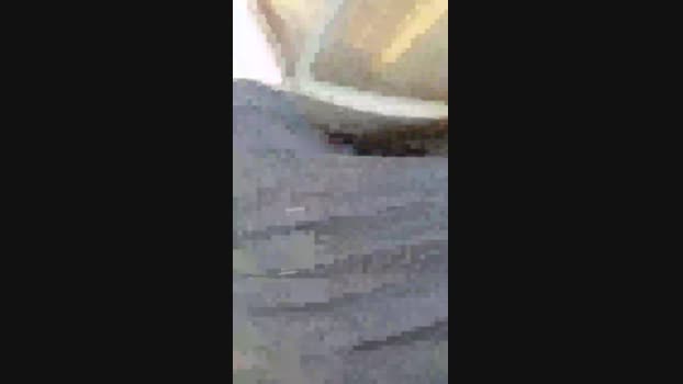 4pollaparati  07-07-2023 Recorded Video XXX