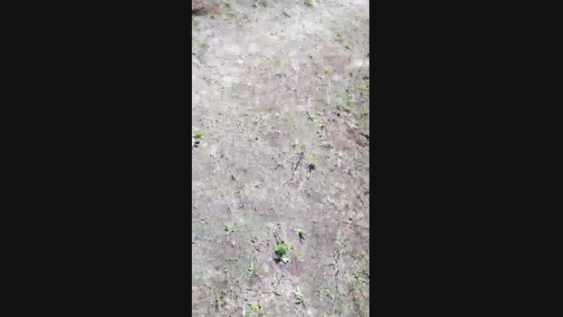 elblover  07-07-2023 Recorded Video fingering