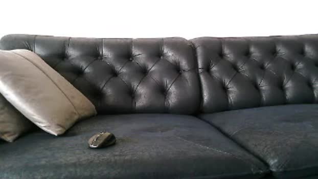 kasket45  06-07-2023 Recorded Video bigtoys