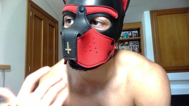 Frabroker  08-07-2023 Recorded Video bigtoys