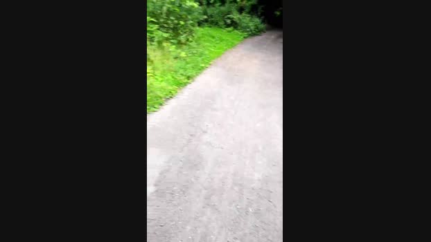 monsterlover  07-07-2023 Recorded Video harddick