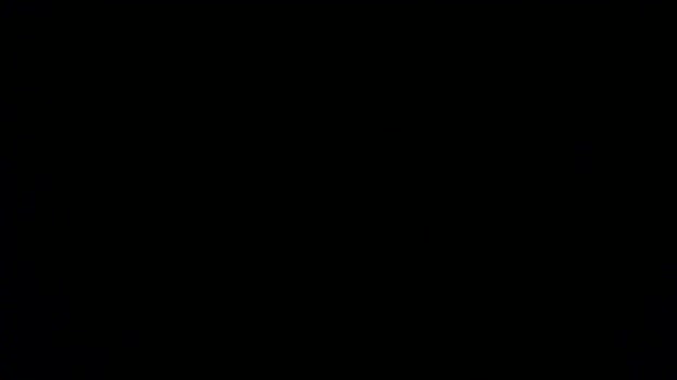 fenicerossa  08-07-2023 Recorded Video bigass