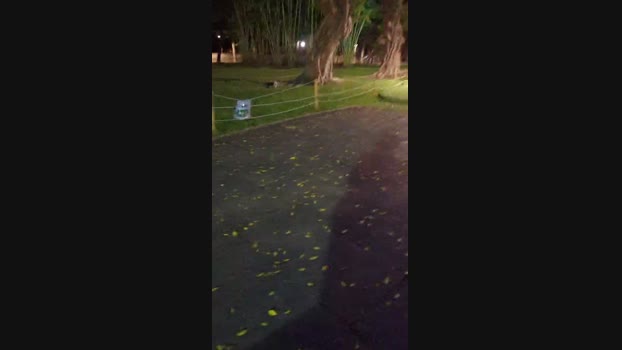 tarcton78  08-07-2023 Recorded Video bigballs