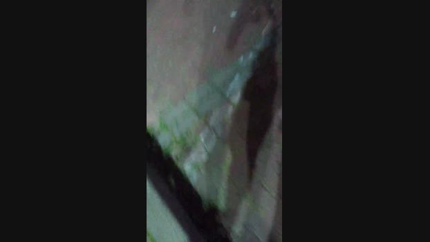 tarcton78  08-07-2023 Recorded Video show