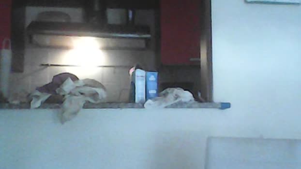 Davideoook  10-07-2023 Recorded Video oral