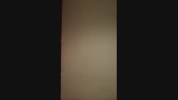 Liberci  09-07-2023 Recorded Video moan